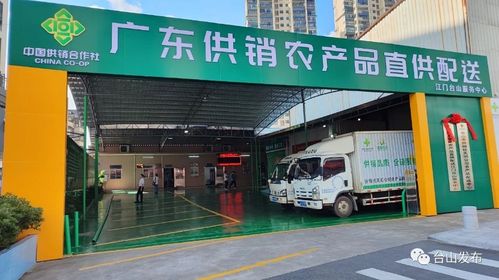 奮戰(zhàn)百千萬(wàn)工程 廣東供銷(xiāo)農(nóng)產(chǎn)品直供配送臺(tái)山服務(wù)中心揭牌成立