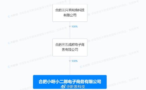 瘋狂小楊哥新公司成立 經(jīng)營范圍包含互聯(lián)網(wǎng)銷售等